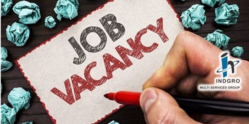 Job Vacancy
