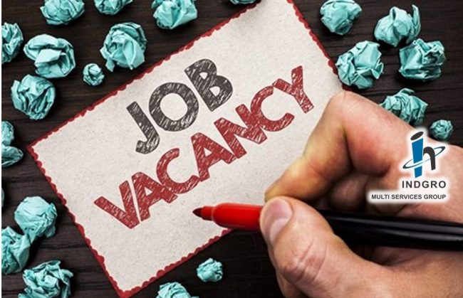 Job Vacancy
